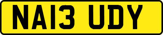NA13UDY