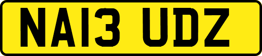 NA13UDZ