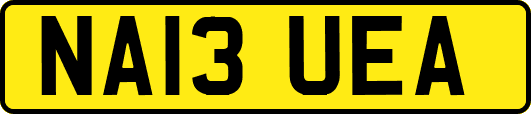 NA13UEA