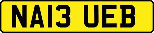 NA13UEB