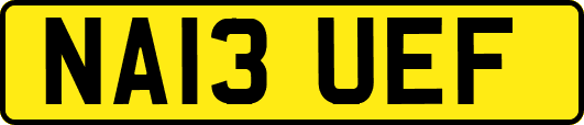 NA13UEF