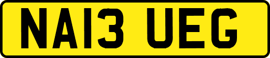 NA13UEG