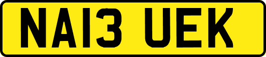 NA13UEK
