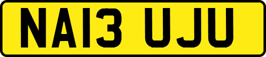 NA13UJU