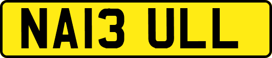 NA13ULL