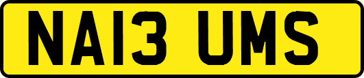 NA13UMS