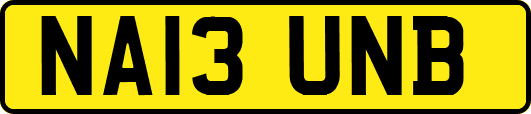 NA13UNB