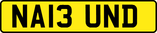 NA13UND