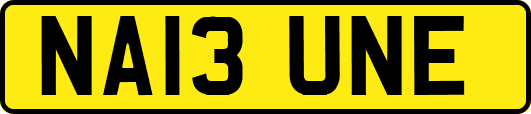 NA13UNE