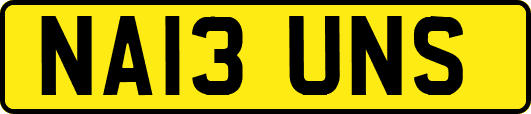 NA13UNS