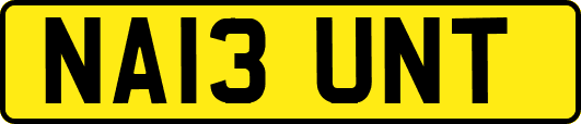 NA13UNT