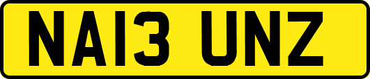 NA13UNZ