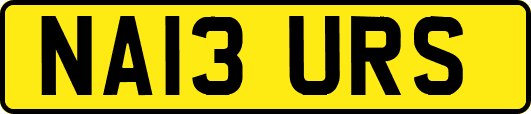 NA13URS