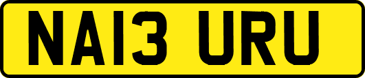 NA13URU