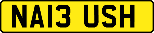 NA13USH