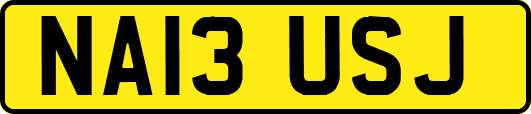 NA13USJ