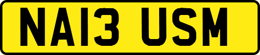 NA13USM