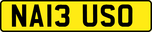 NA13USO