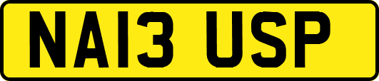 NA13USP