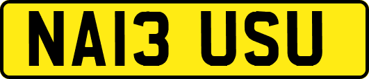 NA13USU