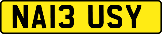NA13USY