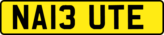 NA13UTE