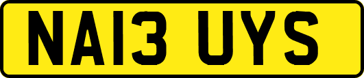 NA13UYS