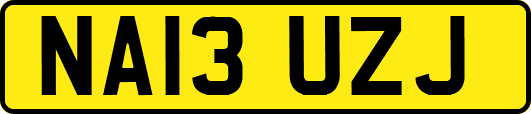 NA13UZJ