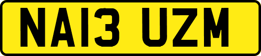 NA13UZM