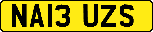 NA13UZS