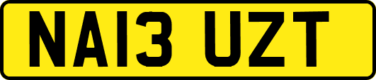 NA13UZT