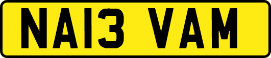NA13VAM