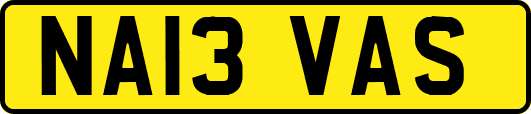 NA13VAS