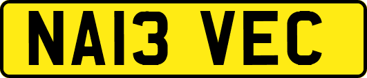 NA13VEC