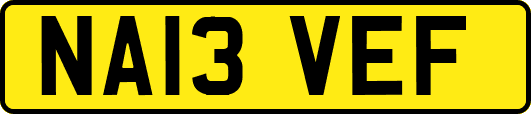 NA13VEF