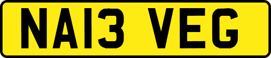 NA13VEG