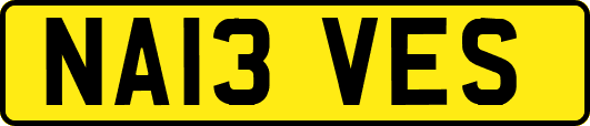 NA13VES