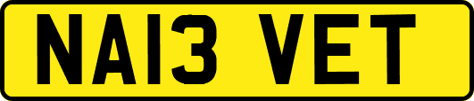 NA13VET