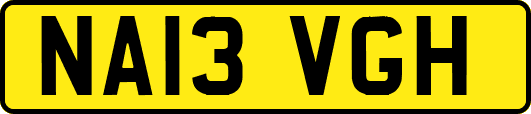 NA13VGH