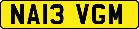 NA13VGM