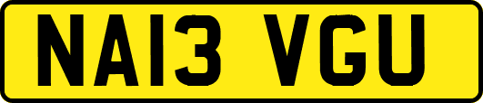 NA13VGU