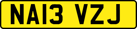 NA13VZJ
