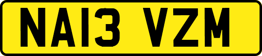 NA13VZM