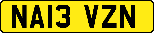 NA13VZN