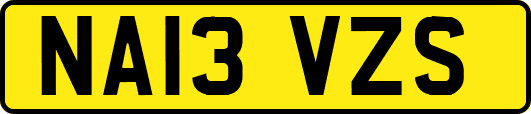 NA13VZS