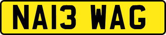 NA13WAG