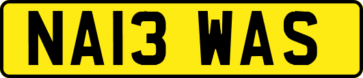 NA13WAS