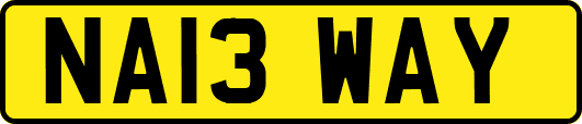 NA13WAY