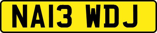 NA13WDJ