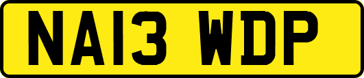 NA13WDP